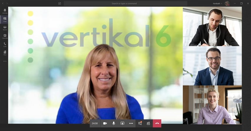 Virtual Meeting with Vertkal6